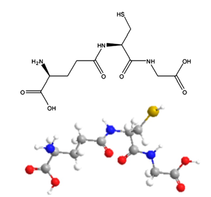 Common whitening ingredients glutathione