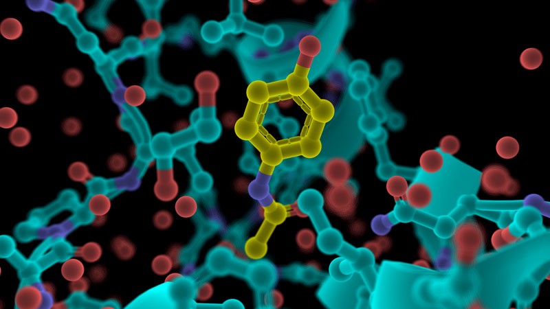 year-end summary of cell industry in 2024 will usher in a full-scale outbreak in 2025