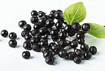 Twelve heat nutrients, which do you know?