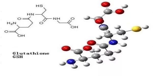 glutathione