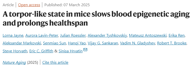 A torpor-like state in mice slows blood epigenetic aging and prolongs healthspan