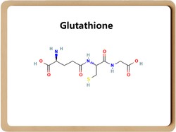 Summary of basic research literature on glutathione